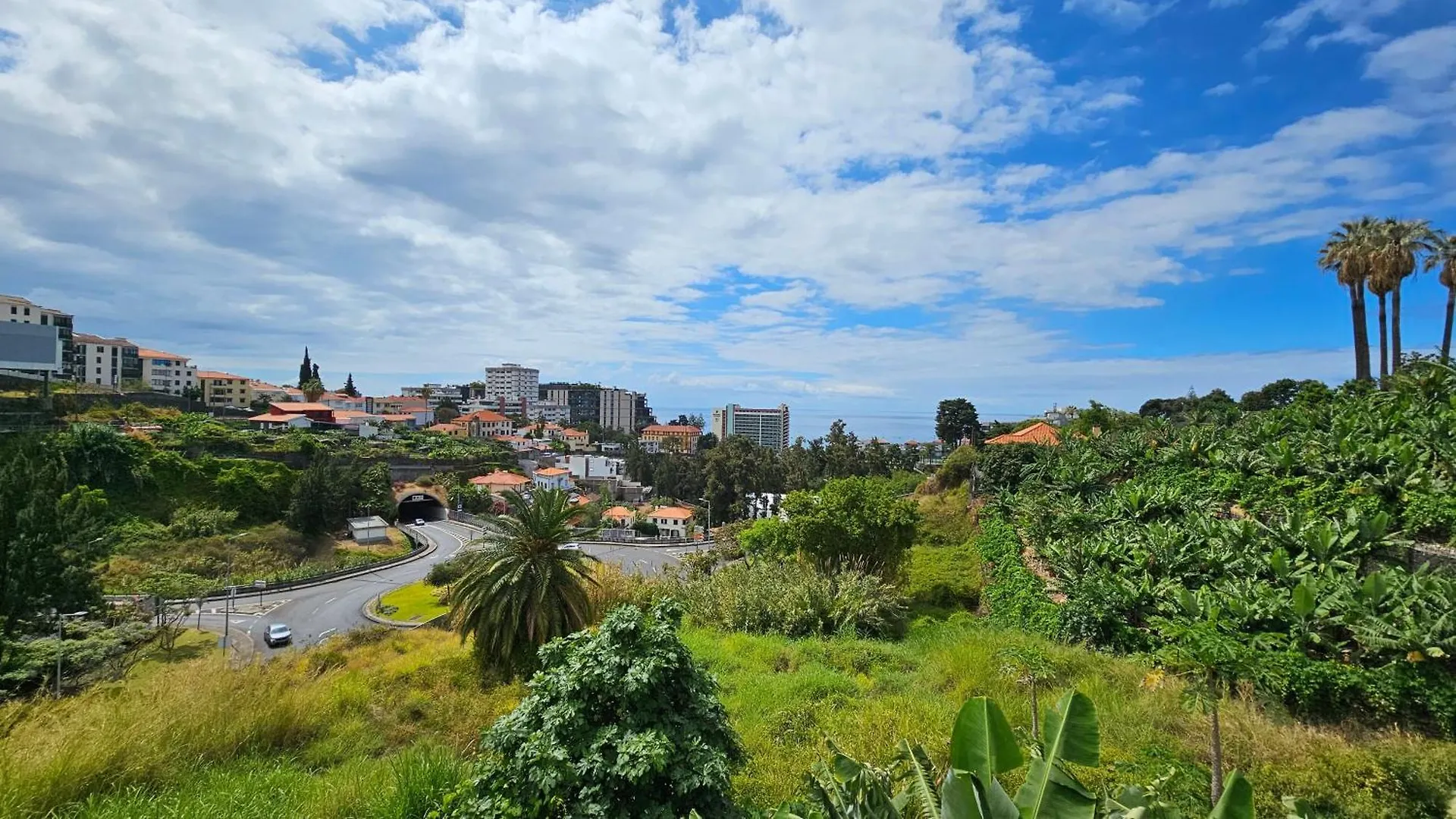 בית נופש פונשל Magnolia Residence